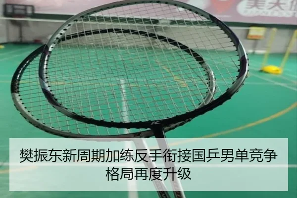 樊振东新周期加练反手衔接国乒男单竞争格局再度升级